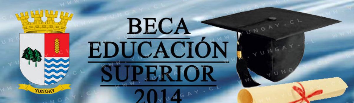 BECA EDUCACION SUPERIOR 2014